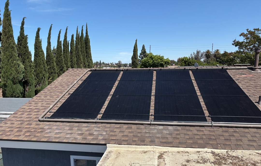 Four solar pool heating collectors on a shingle roof framed by tall Italian cypress trees
